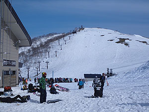 �V�_���ɓ����E�I��