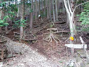 �V�_��������