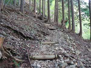 �V�_��������̓o�R���B