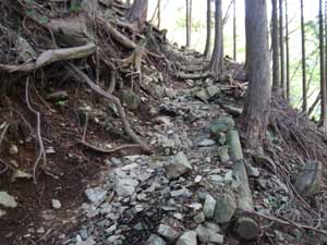 天神尾根からの登山道。