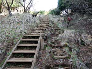 ��q�����ƍ�������̓o�R��