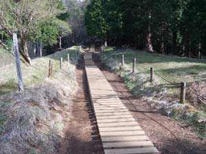 大倉尾根と合流からの登山道