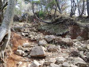 ��q�����ƍ�������̓o�R��