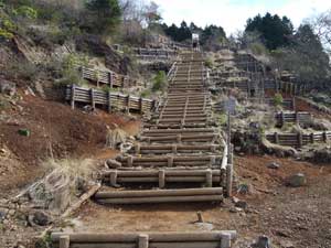 大倉尾根と合流からの登山道