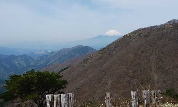 �ԗ��R������̒���