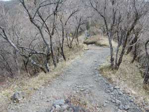 ���̌�̓o�R��