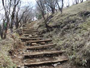 ����V ����̓o�R��