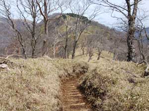 ���� ����̓o�R��