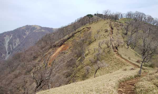 �ڎw���O��R