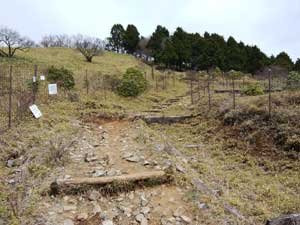 ���̌�̓o�R���B