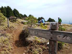 �����n��