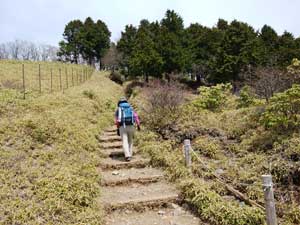 �����n�ꂩ��̓o�R���B