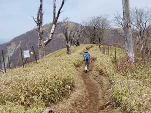 竜ヶ馬場からの登山道。