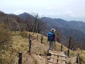 山頂からの登山道。