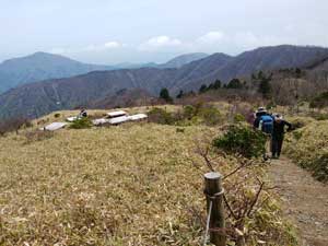 �����n��