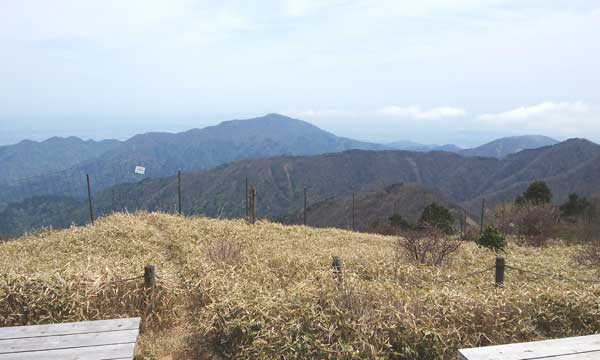 �t�߂���̒���