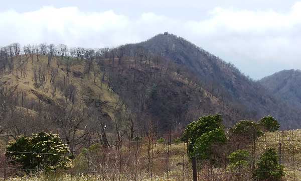 付近からの眺め