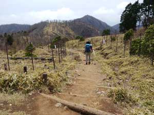 �����n�ꂩ��̓�