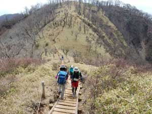 竜ヶ馬場からの道