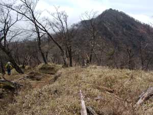 ��������̓o�R���B