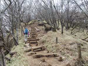 日高からの登山道。