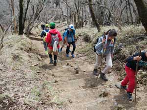 塔ノ岳山頂からの登山道。