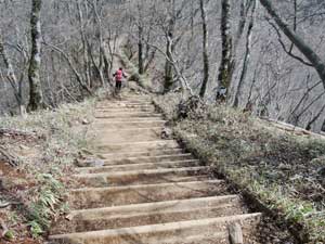 ����V ����̓o�R���B