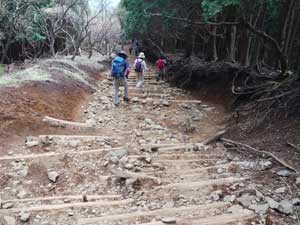 �ԗ��R������̓o�R���B