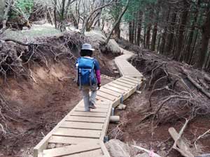 花立山荘からの登山道。