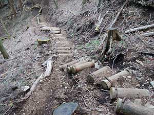 ���򂩂�̓o�R���B