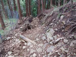 ���򂩂�̓o�R���B