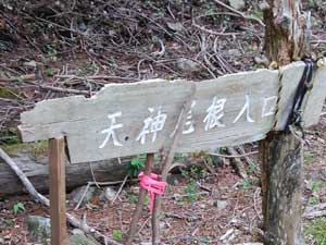 �V�_��������