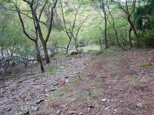 �V�_������������̓��B