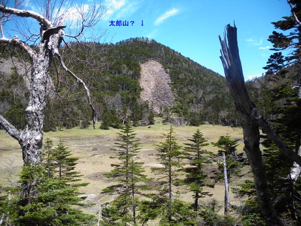 太郎山