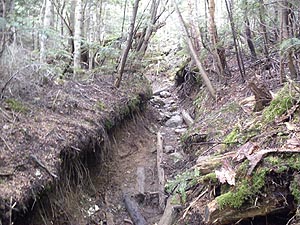 �a�I�ȓo�R����i�ށB