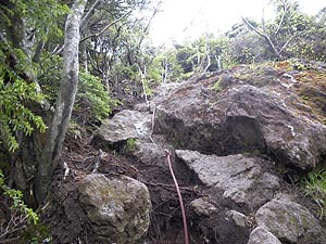 ���[�v��