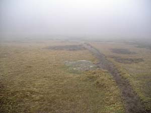 �Ԃ͌�������Ȃ������E�E�E