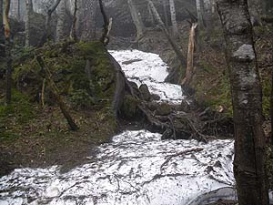 �c���i�ށB