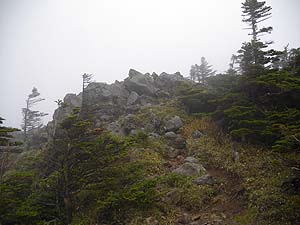 ��ꂪ�����Ă����`