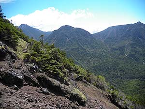 �V��̃K��������f����`