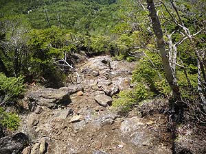 �}�΂������`�`