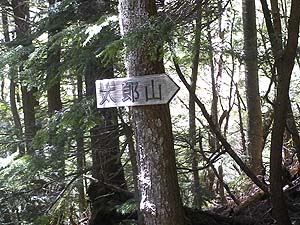 ���Y�R�̕W��