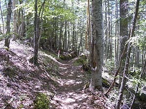 �ǂ������ɓ�����������