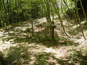 �o�R���̕W��