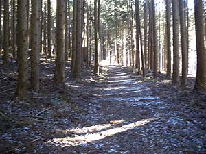 ���ԏꂩ��̓o�R��