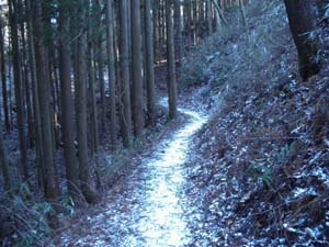 �Y�Ă��q�ӂ�̓o�R���B