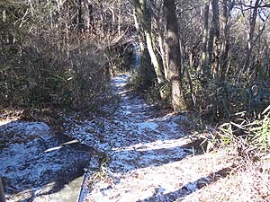 �V���[�g�J�b�g�̓�