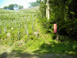 �J�����ꏊ