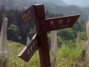 ����̕W��