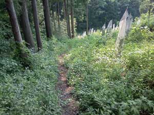 �W������̓o�R���B